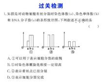 必修1 第六章 过关检测 高三生物ppt课件教案 人教版