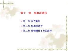 细胞质遗传 - 东北林业大学 [课件]