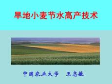 旱地小麦节水高产技术 王志敏