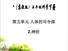 苏教版小学科学五年级下册《神经》课件