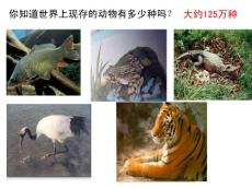 七年级科学上册    常见的动物的举例以及每种类型动物的特点