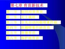 育苗新技术简介