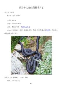 世界十大毒蛇是什么？2