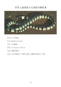 世界上最毒的十大毒蛇全解析3