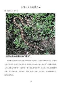 中国十大毒蛇简介4