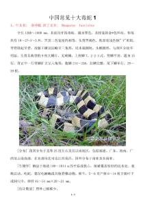 中国常见十大毒蛇1