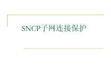 11-SNCP子网连接保护专题
