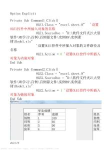 VB工程--百例89--插入Execl工作表