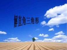 2011中考数学一轮复习解直角三角形复习课件