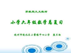 小学六年级数学总复习