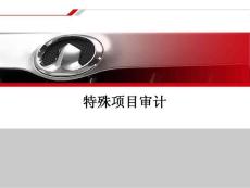 特殊项目审计