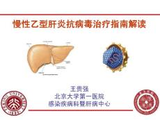 慢乙肝抗病毒治疗指南解读-2012.8.18-19烟台全国肝病学习班课件