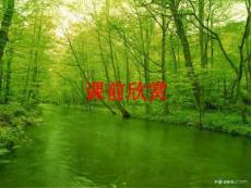 细胞的能量通货ATP