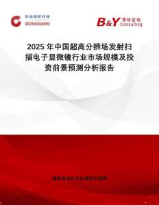 2025年中国超高分辨场发射扫描电子显微镜行业市场规模及投资前景预测分析报告