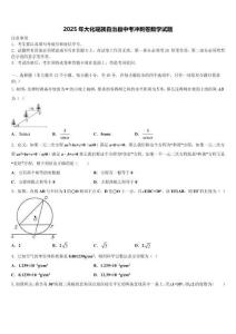 2025年大化瑶族自治县中考冲刺卷数学试题含解析