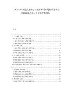 2025-2030博茨瓦纳钻石原石开采市场影响分析及资源管理机构与价值链控制报告
