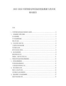 2025-2030中国智能电网设备招投标数据与供应商格局报告