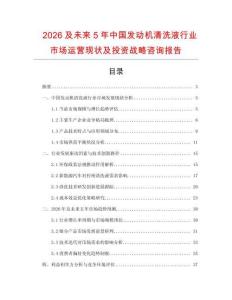 2026及未来5年中国发动机清洗液行业市场运营现状及投资战略咨询报告