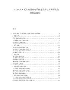 2025-2030厄立特里亚电子商务消费行为调研及投资资金规划
