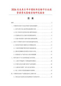 2026及未来5年中国软件压缩卡行业投资前景及策略咨询研究报告