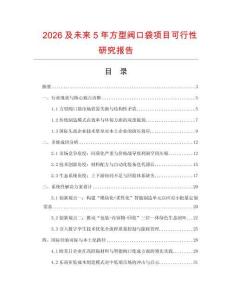 2026及未来5年方型阀口袋项目可行性研究报告
