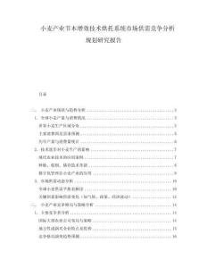 小麦产业节本增效技术烘托系统市场供需竞争分析规划研究报告