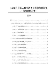2026农业无人机喷洒作业效率与市场推广策略分析报告