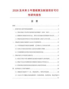 2026及未来5年茵栀黄注射液项目可行性研究报告