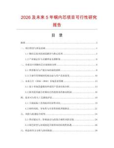 2026及未来5年铜内芯项目可行性研究报告