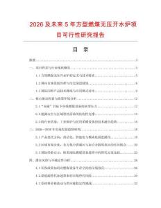 2026及未来5年方型燃煤无压开水炉项目可行性研究报告