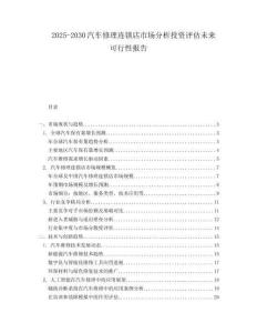 2025-2030汽车修理连锁店市场分析投资评估未来可行性报告