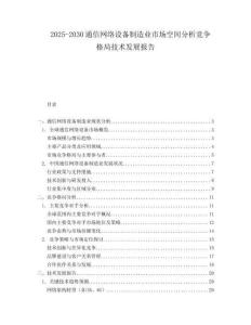 2025-2030通信网络设备制造业市场空间分析竞争格局技术发展报告