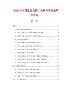 2026年中国柔性凸面广角镜市场调查研究报告