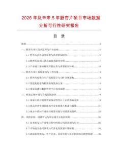 2026年及未来5年野杏片项目市场数据分析可行性研究报告