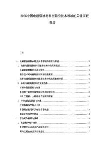 2025中国电磁吸波材料在隐身技术领域的关键突破报告