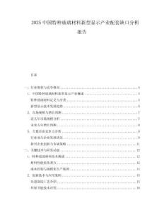 2025中国特种玻璃材料新型显示产业配套缺口分析报告