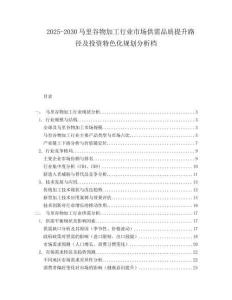 2025-2030马里谷物加工行业市场供需品质提升路径及投资特色化规划分析档