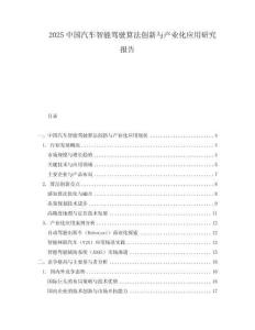2025中国汽车智能驾驶算法创新与产业化应用研究报告