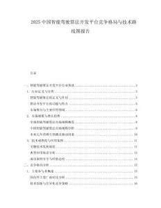 2025中国智能驾驶算法开发平台竞争格局与技术路线图报告