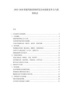 2025-2030智能驾驶系统研发企业创新竞争力与投资机会