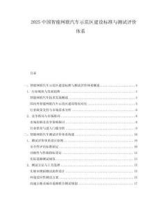 2025中国智能网联汽车示范区建设标准与测试评价体系