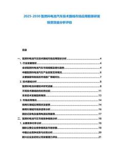 2025-2030氢燃料电池汽车技术路线市场应用前景研发投资效益分析评估