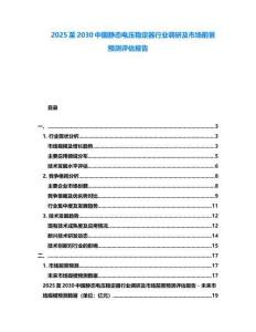 2025至2030中国静态电压稳定器行业调研及市场前景预测评估报告