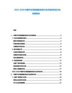 2025-2030中国汽车驾驶辅助系统行业市场研究及行业发展报告