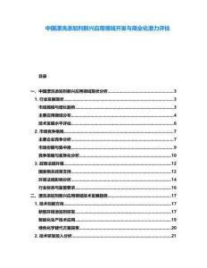 中国漂洗添加剂新兴应用领域开发与商业化潜力评估