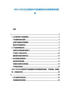 2025-2030化工新材料产业发展现状与未来前景研究报告