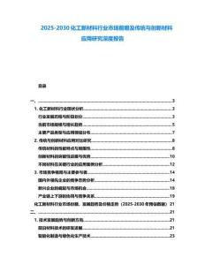 2025-2030化工新材料行业市场前瞻及传统与创新材料应用研究深度报告