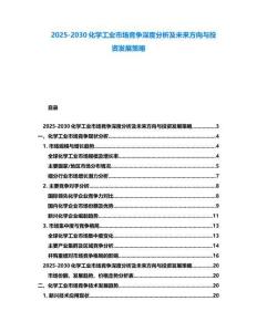 2025-2030化学工业市场竞争深度分析及未来方向与投资发展策略
