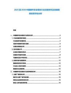 2025至2030中国硬件安全模块行业深度研究及发展前景投资评估分析