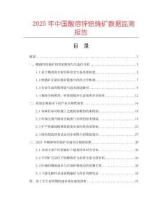 2025年中国酸溶锌焙烧矿数据监测报告
